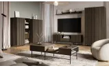 Тумба ТВ П'ємонт / Piemonte ясен/чорний PE-03 - фото 2